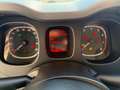Fiat Panda Panda 1.0 firefly hybrid City Life s Blanc - thumbnail 13