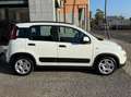 Fiat Panda Panda 1.0 firefly hybrid City Life s Blanc - thumbnail 6