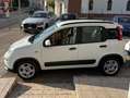 Fiat Panda Panda 1.0 firefly hybrid City Life s Blanc - thumbnail 4