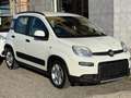 Fiat Panda Panda 1.0 firefly hybrid City Life s Blanc - thumbnail 5