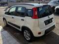 Fiat Panda Panda 1.0 firefly hybrid City Life s Blanc - thumbnail 8