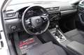 Skoda Superb 2.0 TDI Style 4x4 Aut. ACC*AHK*LED*MEMORY*1 HAND* Weiß - thumbnail 8