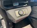 Ford Puma ST-Line X - (ACMAA_VS-DL). 1.0 l EcoBoost Hybrid Grau - thumbnail 21