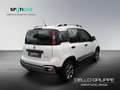 Fiat Panda 1.0 Mild Hybrid Cross Plus PDC Weiß - thumbnail 5