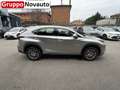 Lexus NX 300h Hybrid Executive 4WD Grau - thumbnail 7