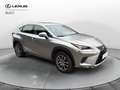 Lexus NX 300h Hybrid Executive 4WD Grau - thumbnail 3
