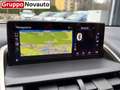 Lexus NX 300h Hybrid Executive 4WD Grau - thumbnail 16
