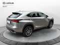Lexus NX 300h Hybrid Executive 4WD Grau - thumbnail 4