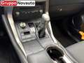 Lexus NX 300h Hybrid Executive 4WD Grau - thumbnail 19