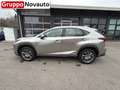 Lexus NX 300h Hybrid Executive 4WD Grau - thumbnail 8