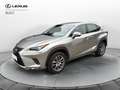 Lexus NX 300h Hybrid Executive 4WD Grau - thumbnail 1