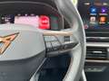 CUPRA Formentor 1,5 TSI ACT | ACC/RFK Blau - thumbnail 39