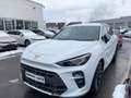 CUPRA Terramar 1.5 eTSI HD-Matrix Navi DCC HuD 360°Kam Weiß - thumbnail 1