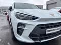 CUPRA Terramar 1.5 eTSI HD-Matrix Navi DCC HuD 360°Kam Weiß - thumbnail 6