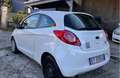 Ford Ka/Ka+ Ka 1.3 Open Collection 70cv per neopatentati Bianco - thumbnail 9