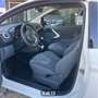 Ford Ka/Ka+ Ka 1.3 Open Collection 70cv per neopatentati Bianco - thumbnail 5