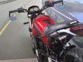 Benelli Leoncino 500 - 2022 - km 6669 Rood - thumbnail 17