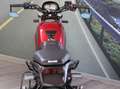 Benelli Leoncino 500 - 2022 - km 6669 Rood - thumbnail 19