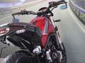Benelli Leoncino 500 - 2022 - km 6669 Rood - thumbnail 18