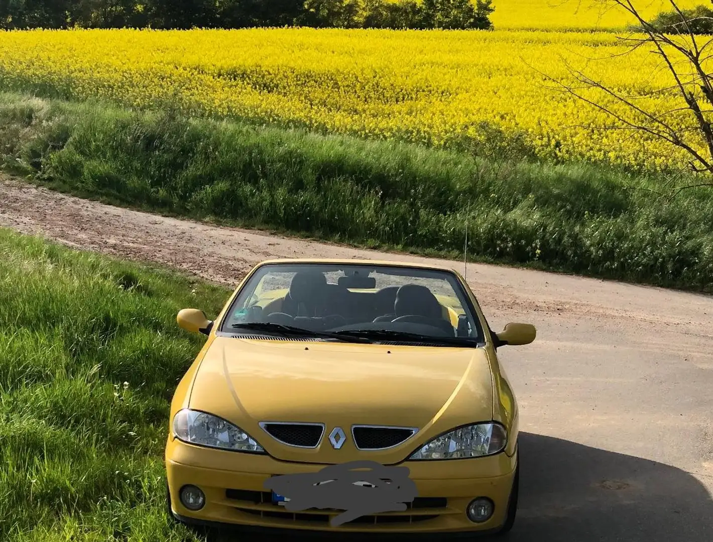 Renault Megane Megane Cabriolet 1.4 Expression Желтый - 1