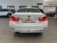 BMW 428 428i xDrive Blanco - thumbnail 7