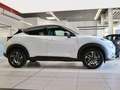 Nissan Juke 1.6 HYBRID 143 PS N-Connecta Kam WinterP Blanc - thumbnail 9