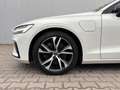 Volvo V60 T8 AWD Recharge R Design 360° ACC H&K 4xSHZ Wit - thumbnail 9