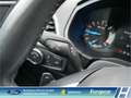 Ford S-Max Business 2.0 EcoBlue Navi  Apple CarPlay Automatik Schwarz - thumbnail 16