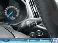 Ford S-Max Business 2.0 EcoBlue Navi  Apple CarPlay Automatik Schwarz - thumbnail 17