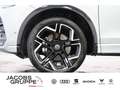 Volkswagen Tiguan 2.0 TDI 4M R-Line DSG,Navi,LED,ACC Silber - thumbnail 33