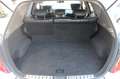 Nissan Murano 3.5 V6 Basis *Memory*Kamera*Bi-Xenon*Szh Argent - thumbnail 14