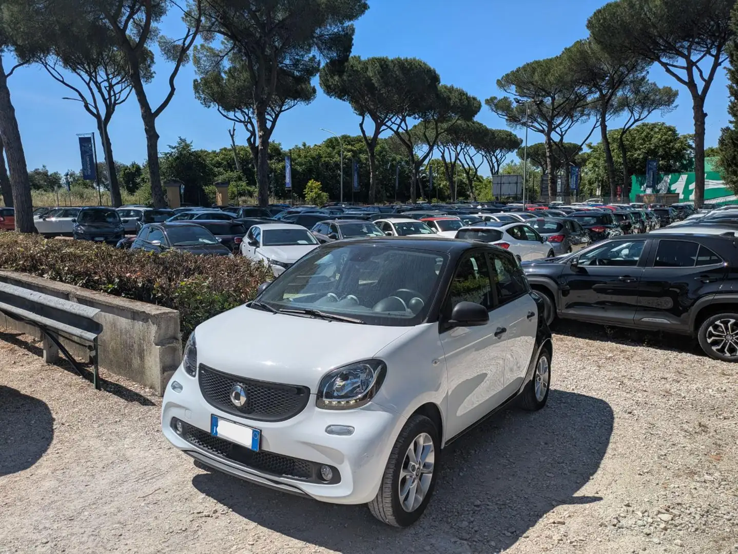 smart forFour GPL 1.0cc 71cv CRUISE CONTROL CLIMA AUTOM Biały - 2