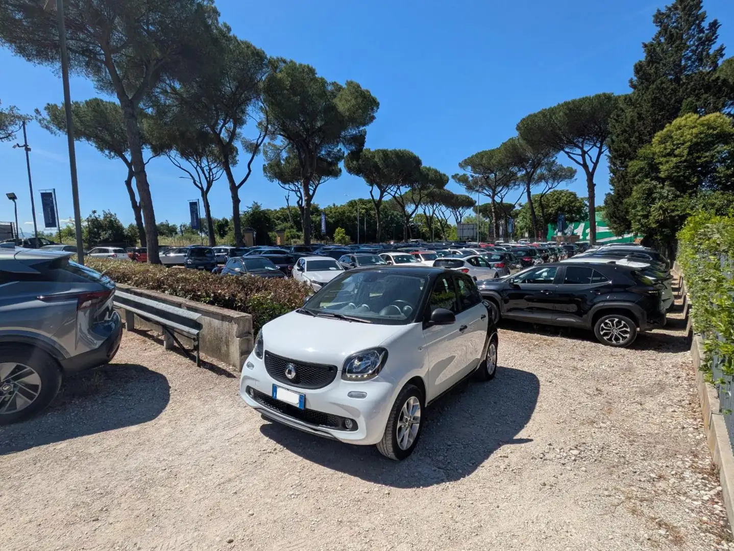smart forFour GPL 1.0cc 71cv CRUISE CONTROL CLIMA AUTOM Biały - 1