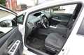 Toyota Prius+ 1.8l Panorama Im Auftrag Weiß - thumbnail 5