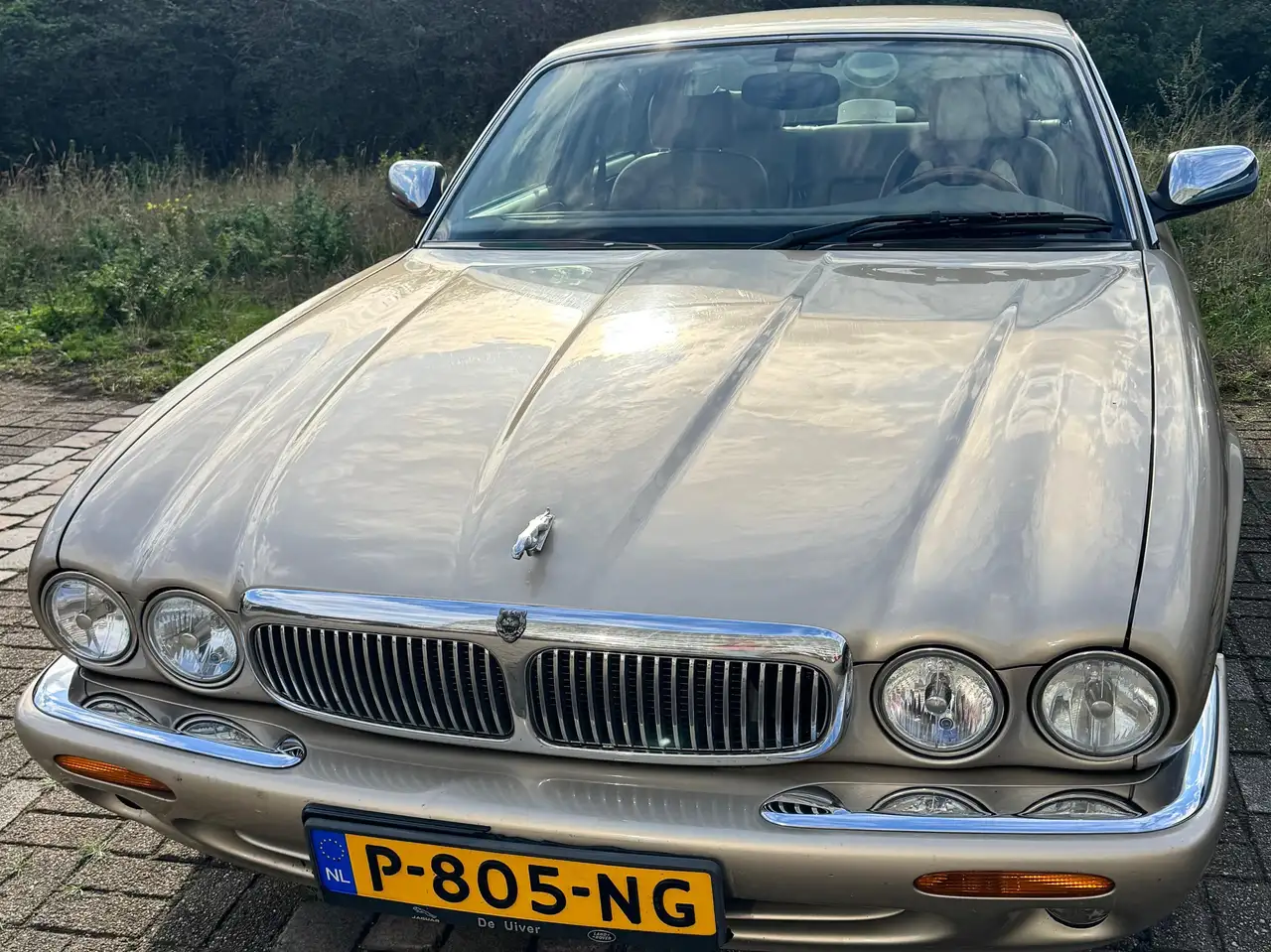 Jaguar Sovereign 3.2 V8, foto 1