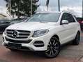 Mercedes-Benz GLE 250 GLE250d Automatik Leder Kamera Weiß - thumbnail 2