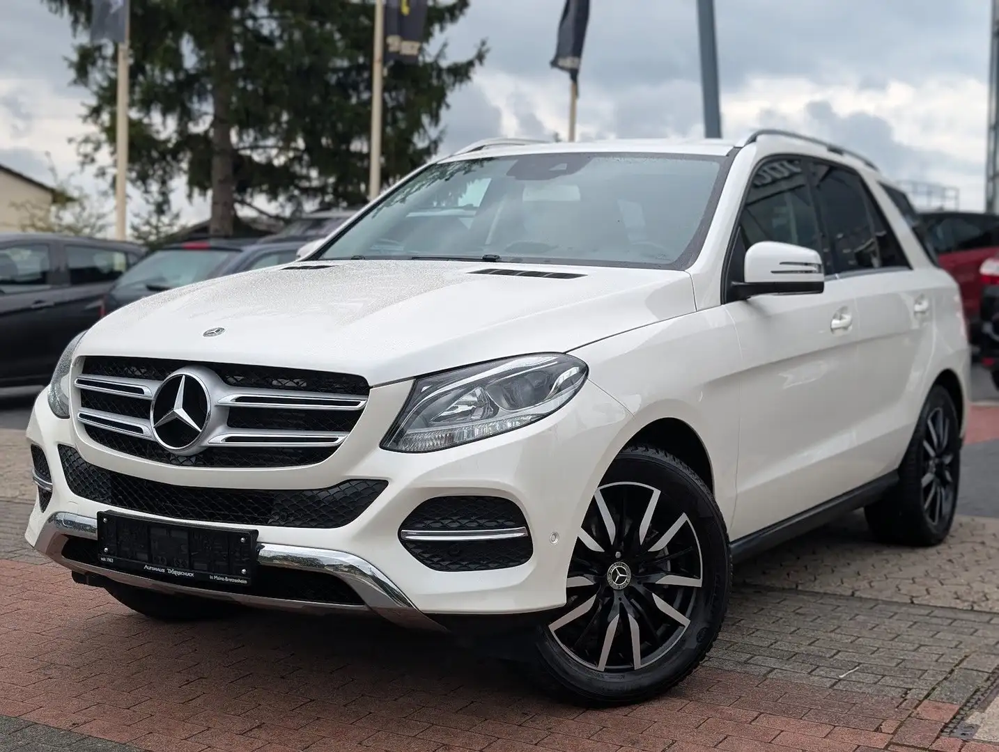 Mercedes-Benz GLE 250 GLE250d Automatik Leder Kamera Wit - 2