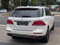 Mercedes-Benz GLE 250 GLE250d Automatik Leder Kamera Weiß - thumbnail 5