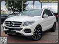 Mercedes-Benz GLE 250 GLE250d Automatik Leder Kamera Weiß - thumbnail 1
