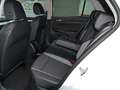 Volkswagen Golf GOAL 2,0 l TDI SCR 85 kW Ganzjahresreifen Wit - thumbnail 11