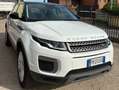 Land Rover Range Rover Evoque Range Rover Evoque 5p 2.0 ed4 Pure 150cv Bianco - thumbnail 1