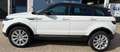 Land Rover Range Rover Evoque Range Rover Evoque 5p 2.0 ed4 Pure 150cv Bianco - thumbnail 6