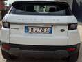 Land Rover Range Rover Evoque Range Rover Evoque 5p 2.0 ed4 Pure 150cv Bianco - thumbnail 7