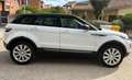 Land Rover Range Rover Evoque Range Rover Evoque 5p 2.0 ed4 Pure 150cv Bianco - thumbnail 4