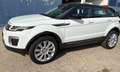 Land Rover Range Rover Evoque Range Rover Evoque 5p 2.0 ed4 Pure 150cv Bianco - thumbnail 5