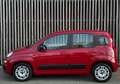 Fiat Panda 0.9 TwinAir Edizione Cool 2015 AIRCO|ELEKTR|APK Rood - thumbnail 5