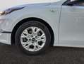 Kia 1.6 MHEV iMT 100kW (136CV) Concept Blanc - thumbnail 18