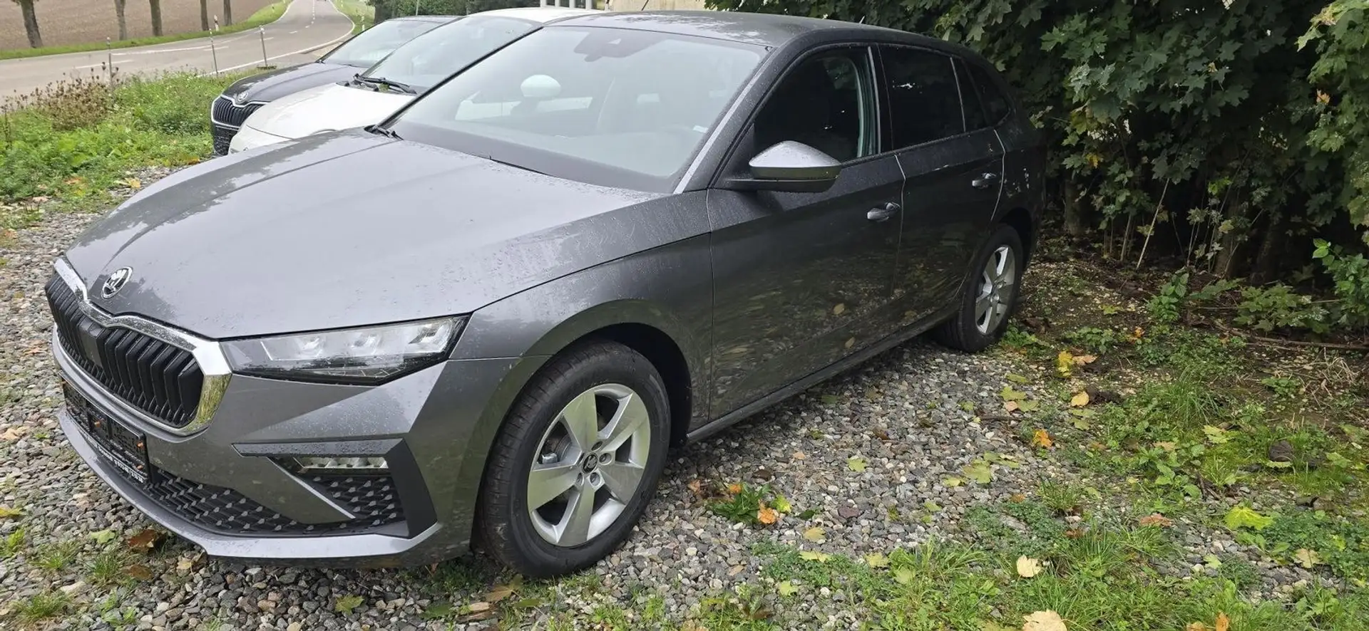 Skoda Scala (Limited Edition) 1,0  70 KW (95 PS) TSI Grau - 1