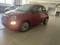 Fiat 500 FIAT 500 hybrid 70 cv Rosso - thumbnail 3