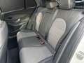 Mercedes-Benz C 300 C 300 T de AMG Line Weiß - thumbnail 13